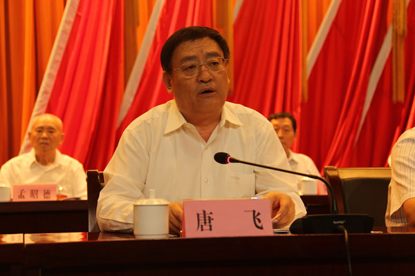 特级丰满少妇一级AAAA爱毛片